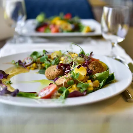 Yacht Wellness & Business 4*